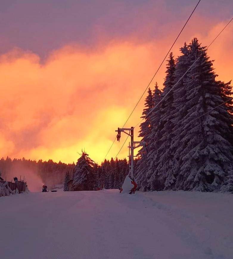 Woodside Apartment M Kopaonik Free Parking Bagian luar foto