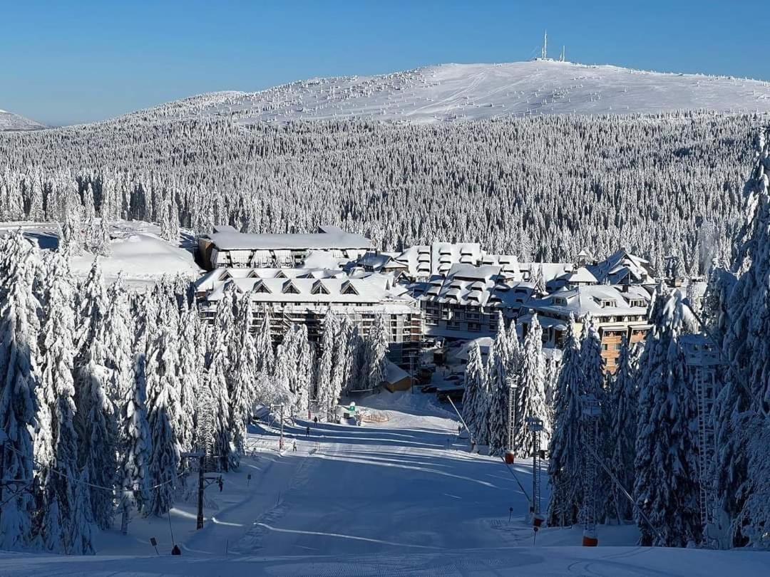 Woodside Apartment M Kopaonik Free Parking Bagian luar foto
