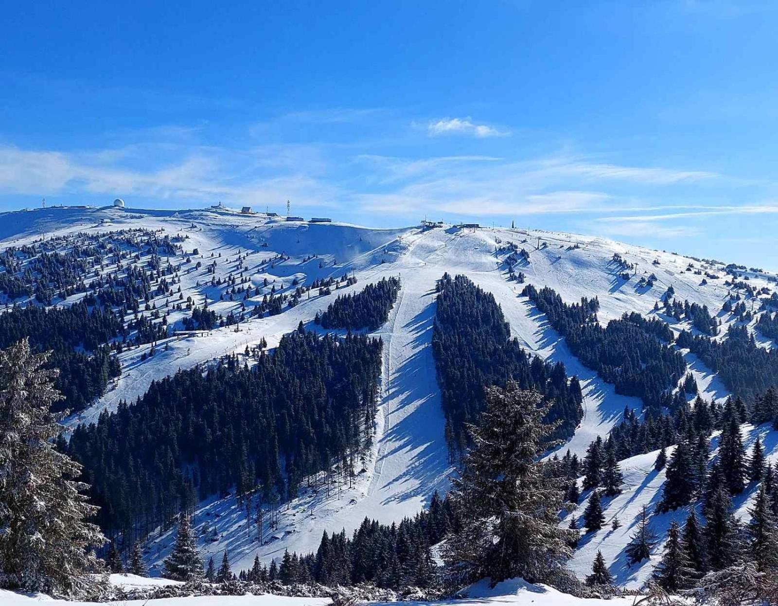 Woodside Apartment M Kopaonik Free Parking Bagian luar foto