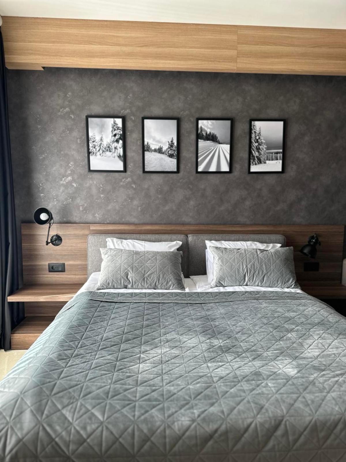 Woodside Apartment M Kopaonik Free Parking Bagian luar foto